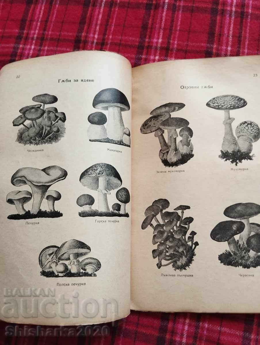 Food, Nutrition and Cooking - 5 Food, Nutrition and Cooking - 5