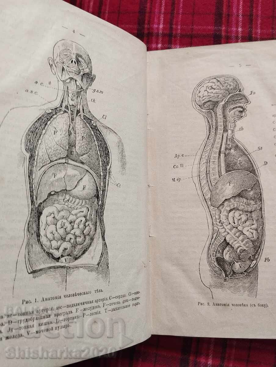 Livrarea Anatomia și fiziologia umană