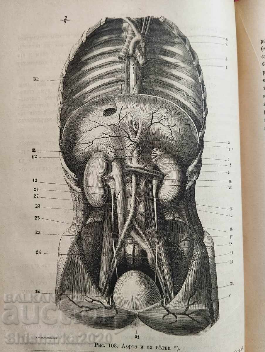 Human anatomy and physiology - 6 Human anatomy and physiology - 6