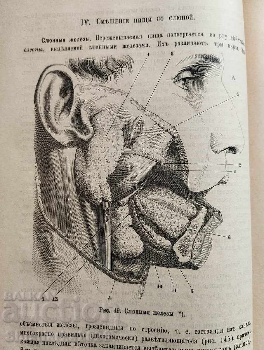 Human anatomy and physiology - 7 Human anatomy and physiology - 7