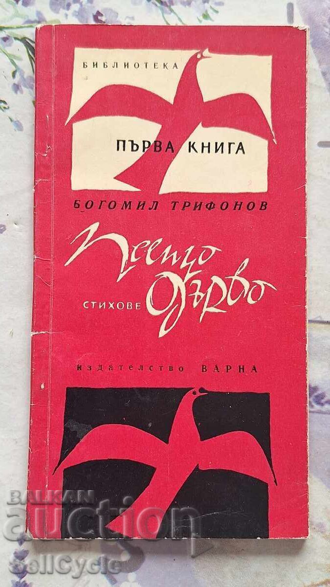 ✅ΤΡΑΓΟΥΔΩΝΤΑΣ ΔΕΝΤΡΟ - ΜΠΟΓΚΟΜΙΛ ΤΡΙΦΟΝΟΦ - ΣΤΙΧΟΙ❗