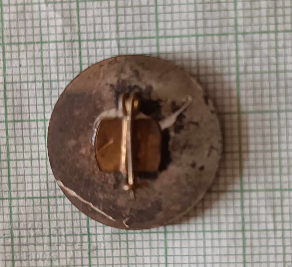 Delivery of Badge - Republican Pioneer Gathering Mihaylovgrad 1973 Delivery of Badge - Republican Pioneer Gathering Mihaylovgrad 1973