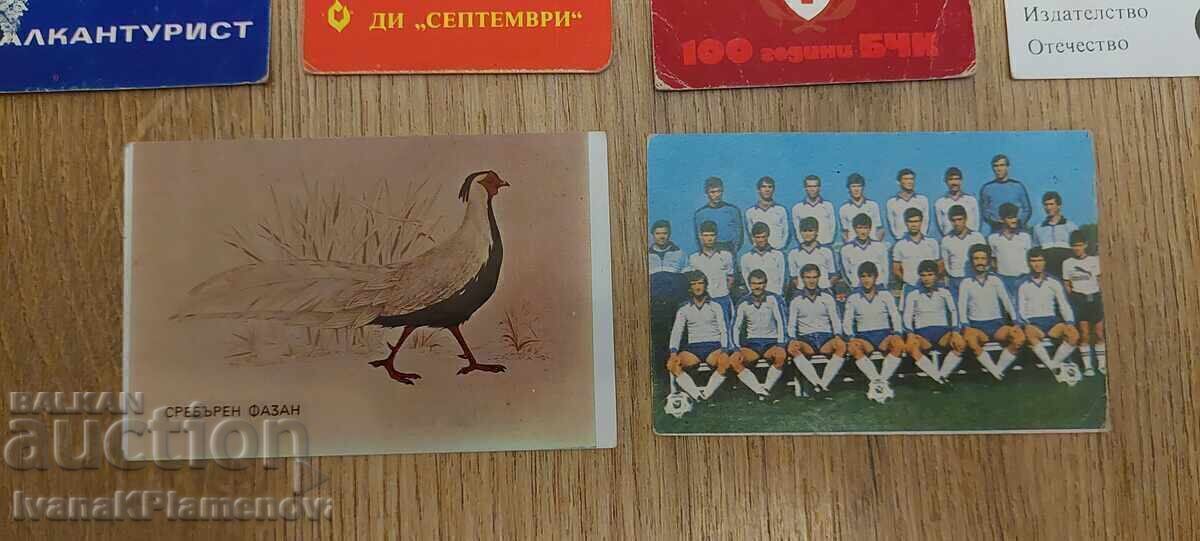 Δημοπρασία Ημερολόγιακια 8 τεμαχίων για συλλέκτες