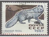RUSSIA stamp 1d3