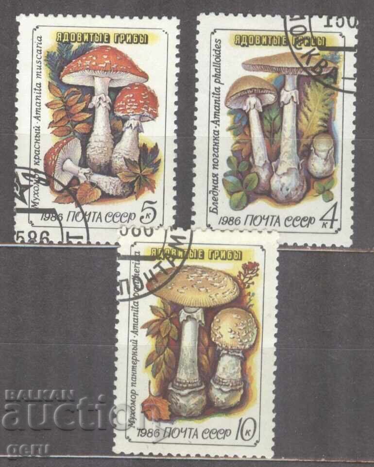 ΡΩΣΙΚΟ γραμματόσημο 1d3