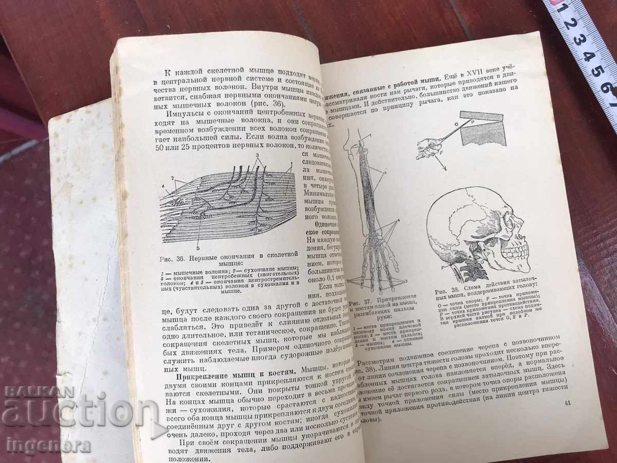 Livrarea Manual A.N. KABANOV - ANATOMIA OMULUI - 1949