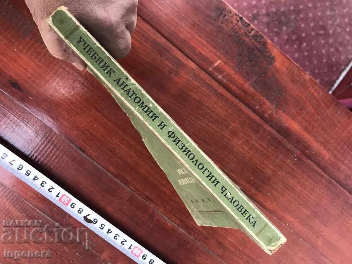 Manual A.N. KABANOV - ANATOMIA OMULUI - 1949 - 5