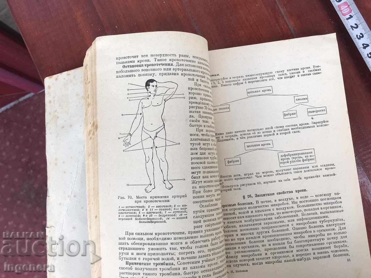 Manual A.N. KABANOV - ANATOMIA OMULUI - 1949 - 6