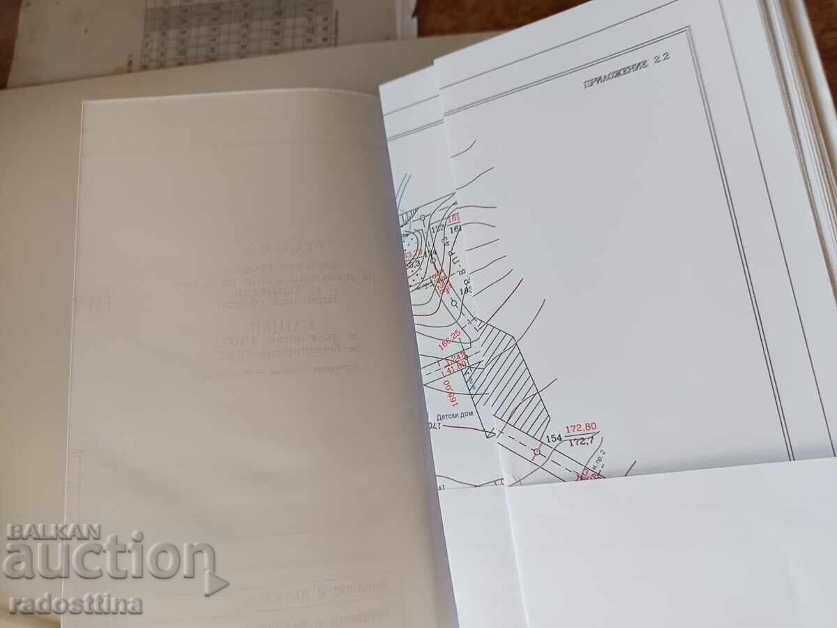 Auction  Lectures on Vertical Planning Veneta Kotseva