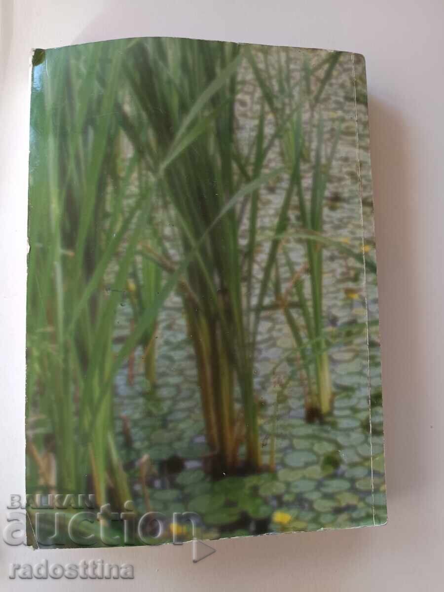 Botany Dimitar Pavlov Marius Dimitrov with price 29.99 BGN | € 15.33 Botany Dimitar Pavlov Marius Dimitrov with price 29.99 BGN | € 15.33