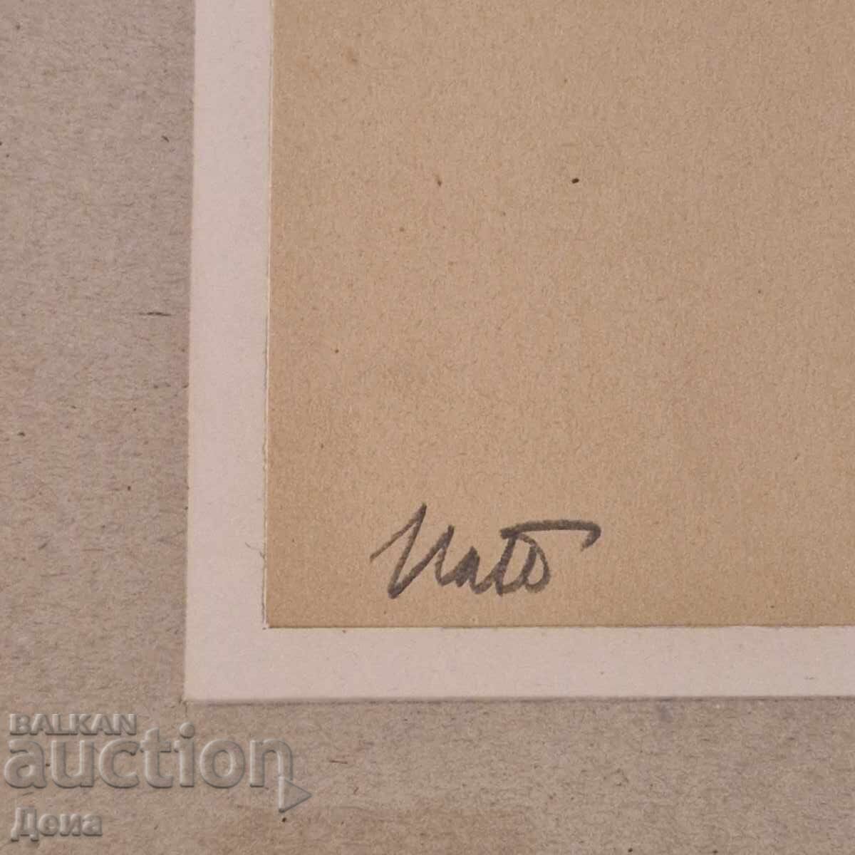 Licitație Ilia Petrov - Corp Gol