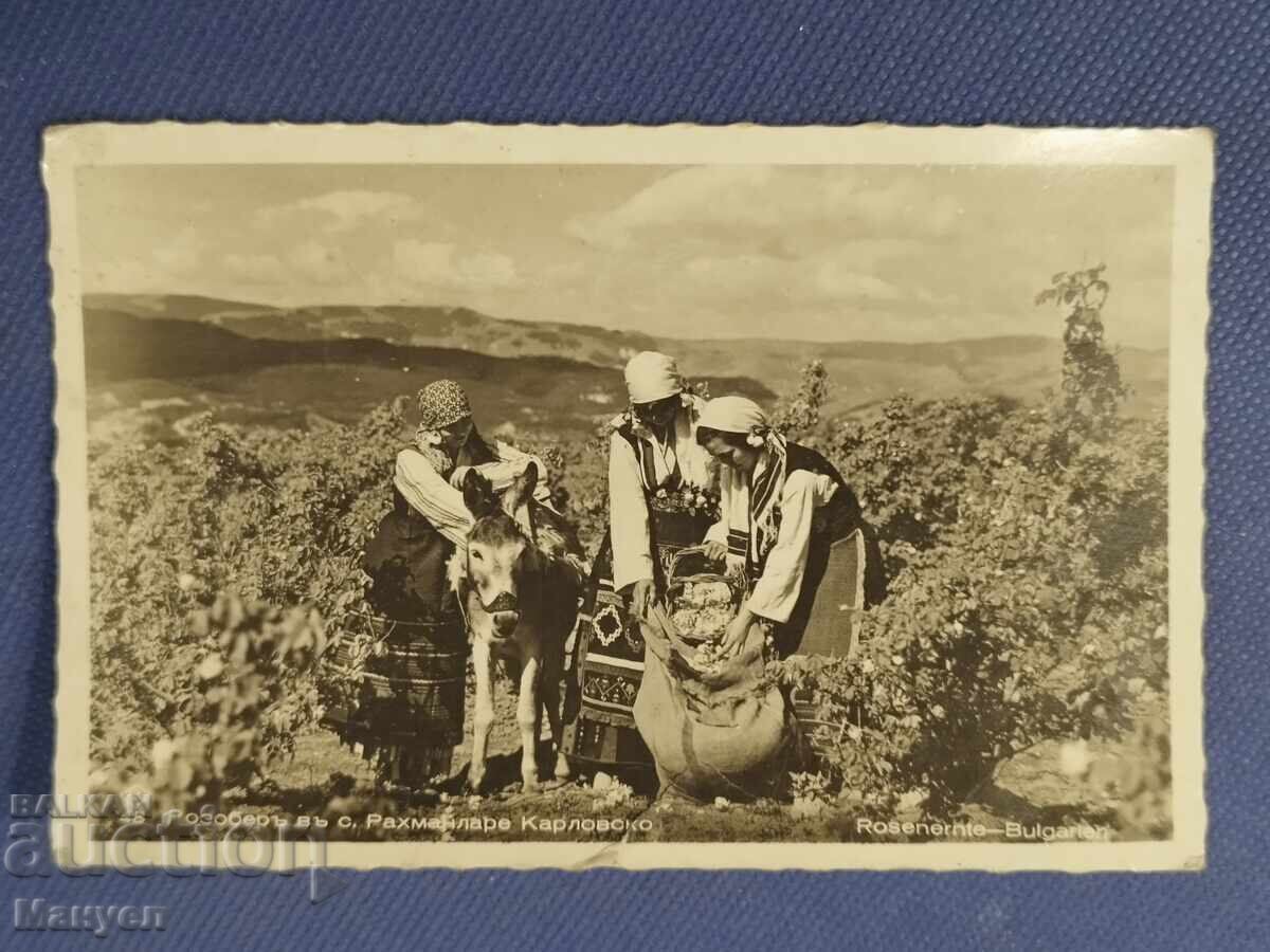 Old photo - Kingdom of Bulgaria Old photo - Kingdom of Bulgaria