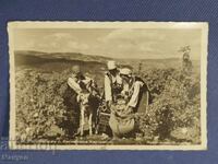 Old photo - Kingdom of Bulgaria