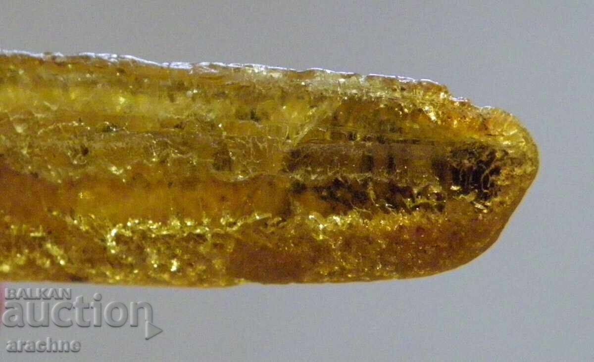 Licitație Chihlimbar baltic natural netratat pentru tratament