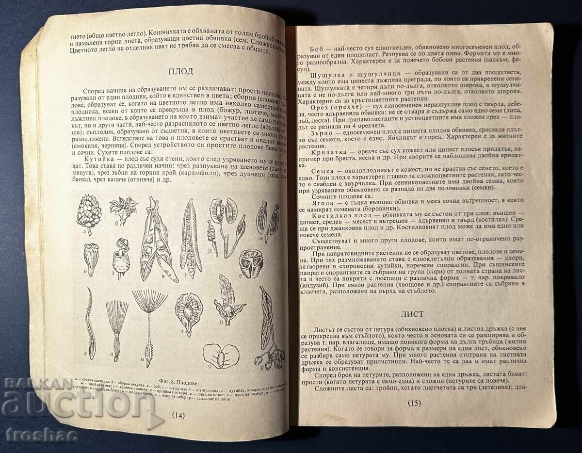 Auction Old Book Identification and Collection of Herbs / Boris Kitanov Auction Old Book Identification and Collection of Herbs / Boris Kitanov