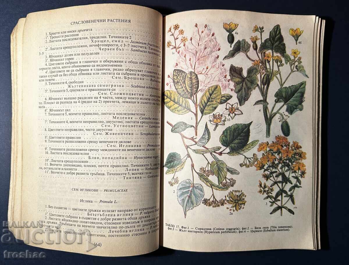 Delivery of Old Book Identification and Collection of Herbs / Boris Kitanov Delivery of Old Book Identification and Collection of Herbs / Boris Kitanov