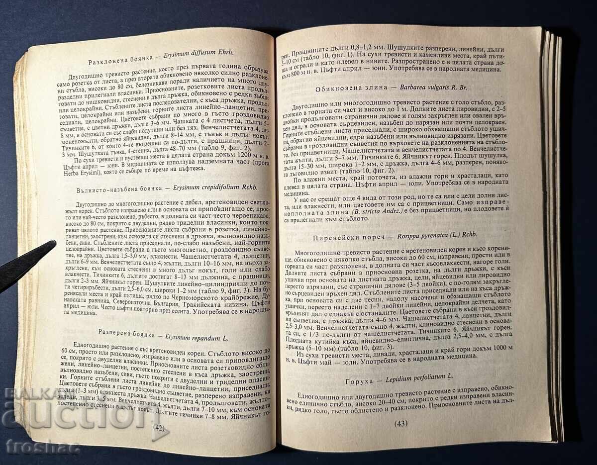 Old Book Identification and Collection of Herbs / Boris Kitanov - 5 Old Book Identification and Collection of Herbs / Boris Kitanov - 5