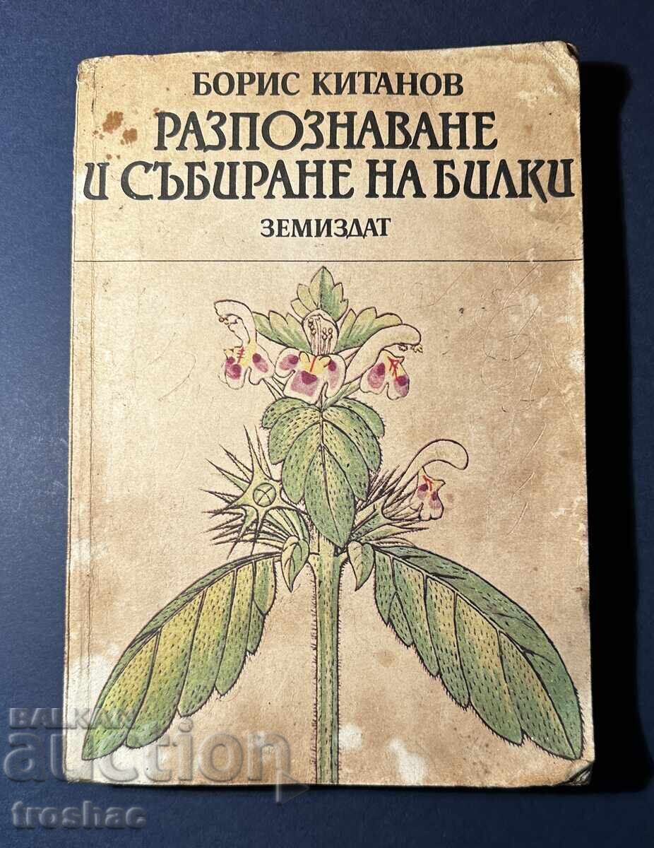 Old Book Identification and Collection of Herbs / Boris Kitanov - 6 Old Book Identification and Collection of Herbs / Boris Kitanov - 6