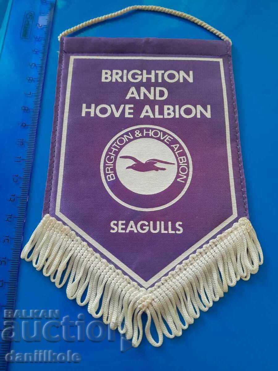 Livrarea *$*Y*$* STEAG BRIGHTON AND HOVE ALBION - FC BRIGHTON *$*Y*$*