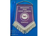 *$*Y*$* STEAG BRIGHTON AND HOVE ALBION - FC BRIGHTON *$*Y*$*