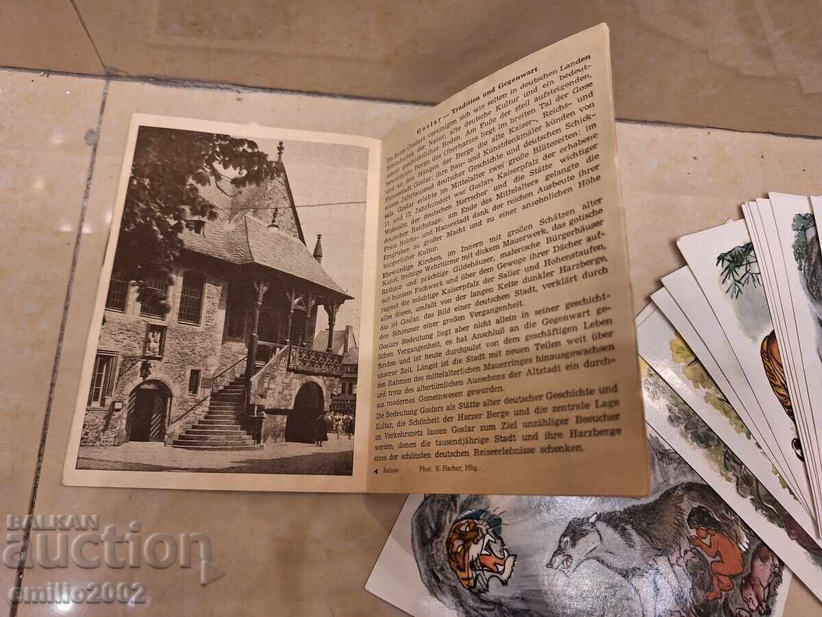 Аукцион Картички Книга за джунглата Аукцион Картички Книга за джунглата