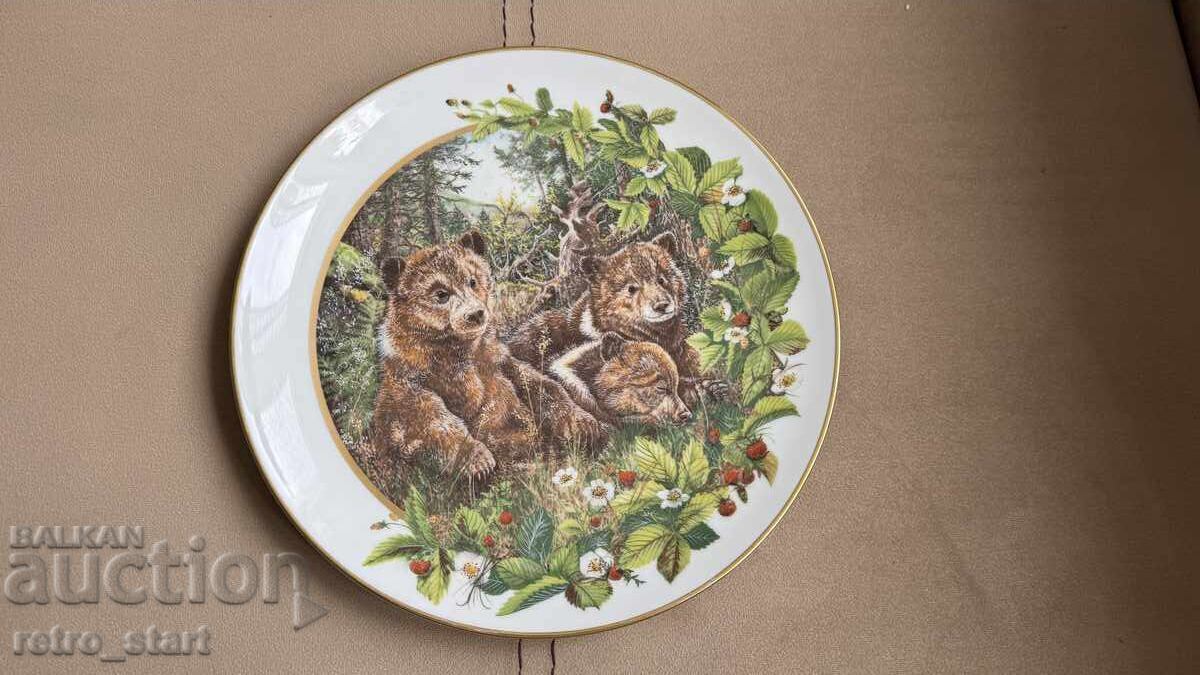 Collector plate - 7 Collector plate - 7