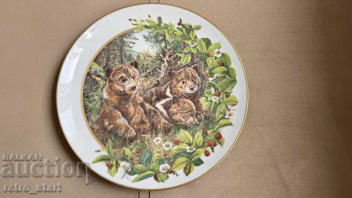 Collector plate Collector plate