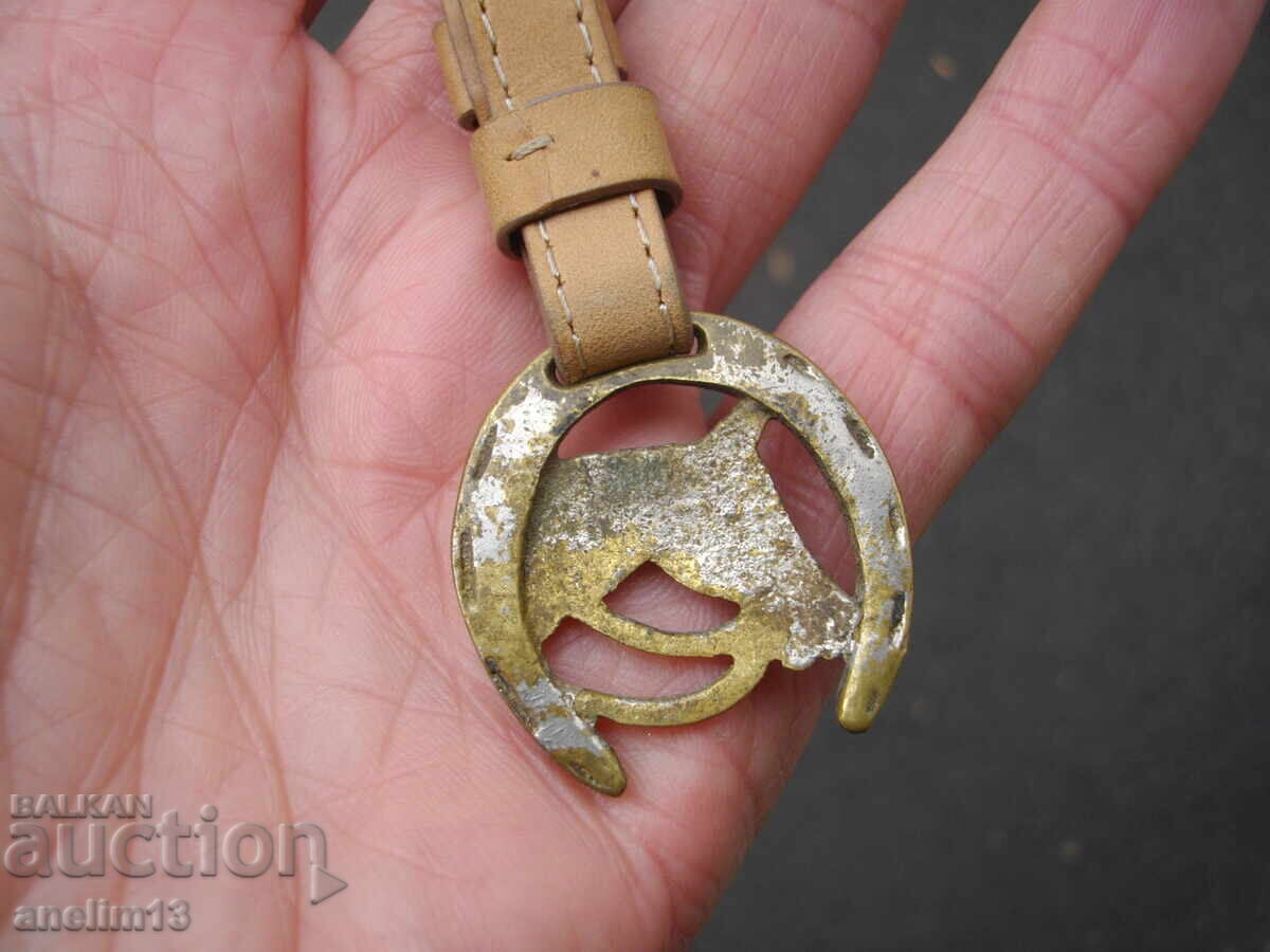 ΣΤΑΡ ΚΙΟΥΣΤΕΚ ΓΙΑ ΤΣΕΠΟΡΟΛΟΙ ΥΠΟΔΗΜΑ ΑΛΟΓΟΥ - 5