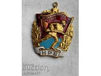 Rare Military Order of the Red Banner, Damaged Enamel