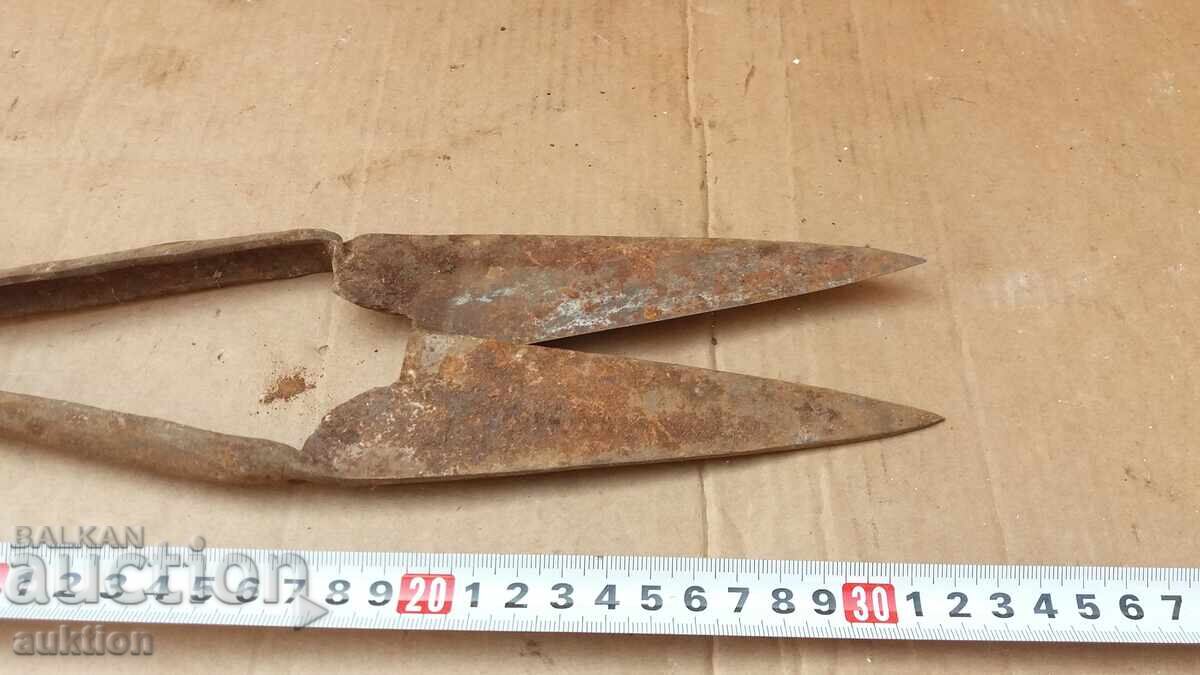 Livrarea FOARCI VECHI DE OI Livrarea FOARCI VECHI DE OI