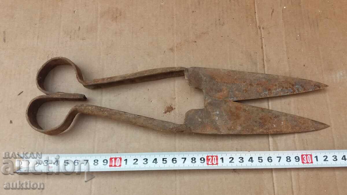 FOARCI VECHI DE OI - 7 FOARCI VECHI DE OI - 7