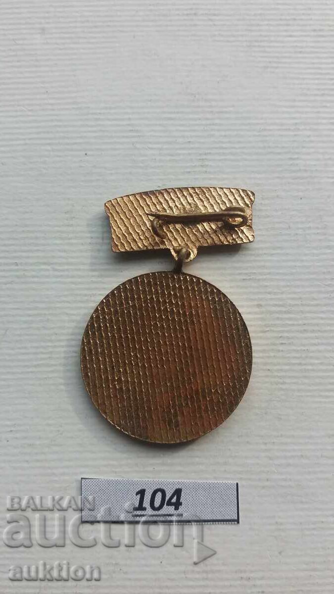 Auction  Excellent execution of SM Rodina - bronze enamel