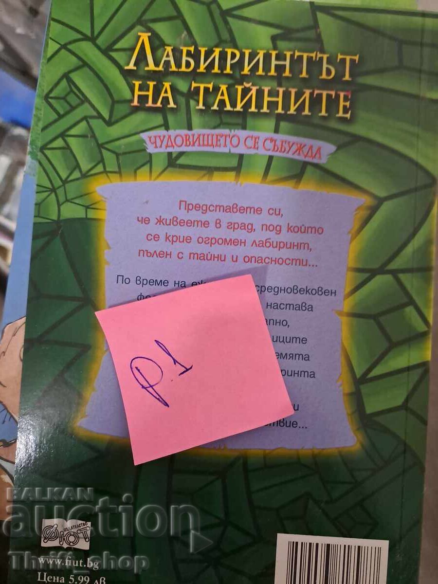 The Labyrinth of Secrets with price 5.00 BGN | € 2.56