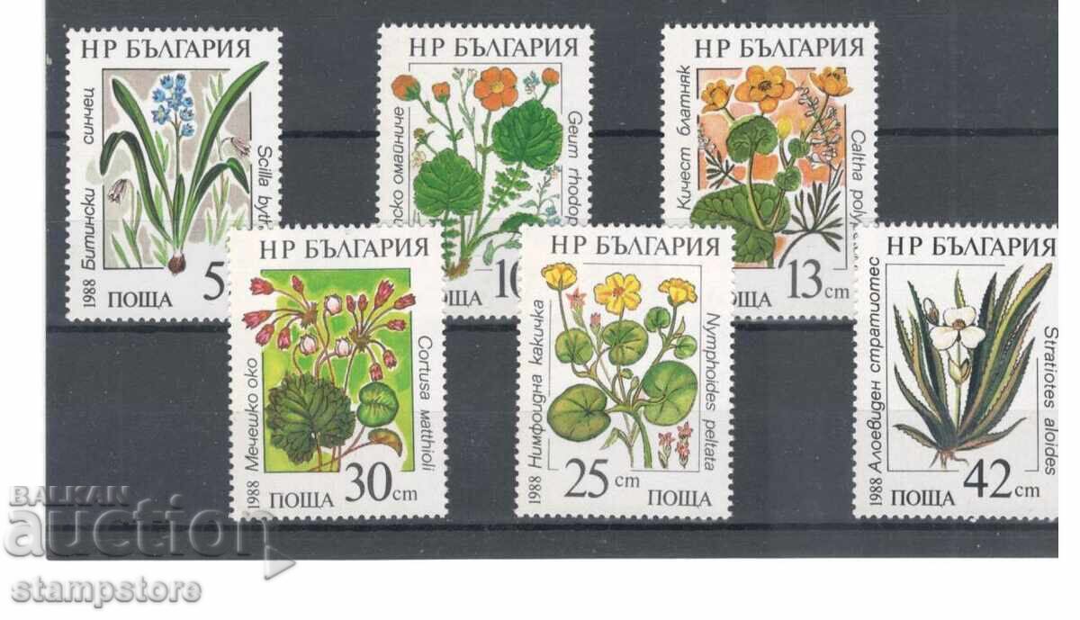 Aquatic plants Aquatic plants