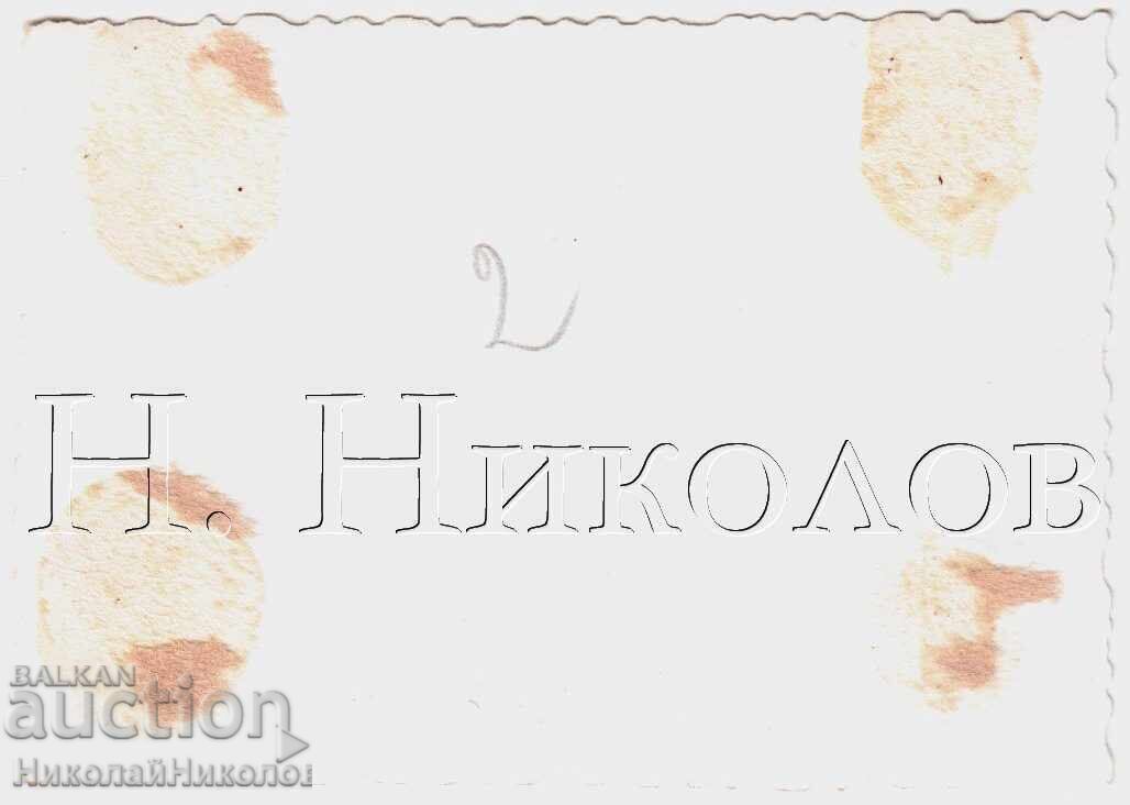 SMALL OLD PHOTO YOUNG MAN BATHING IN A LAKE D563 with price € 2.00 | 3.91 BGN