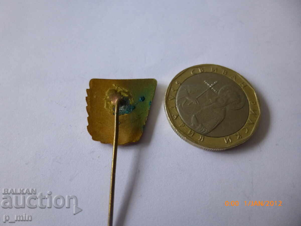 нагръден знак - Р. С Плуване  БСФС с цена 12.00 лв. | € 6.14