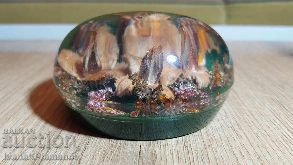 Аукцион Преспапие за колекционери Аукцион Преспапие за колекционери