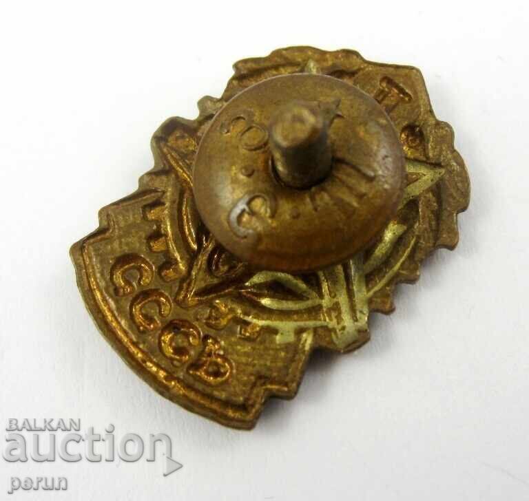 USSR-Military Badge-Ready for Labor and Defense-I Grade-Enamel-Screw - 5 USSR-Military Badge-Ready for Labor and Defense-I Grade-Enamel-Screw - 5
