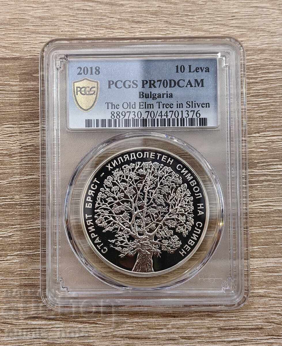10 Leva 2018 Old Elm in Sliven - PR 70 DCAM