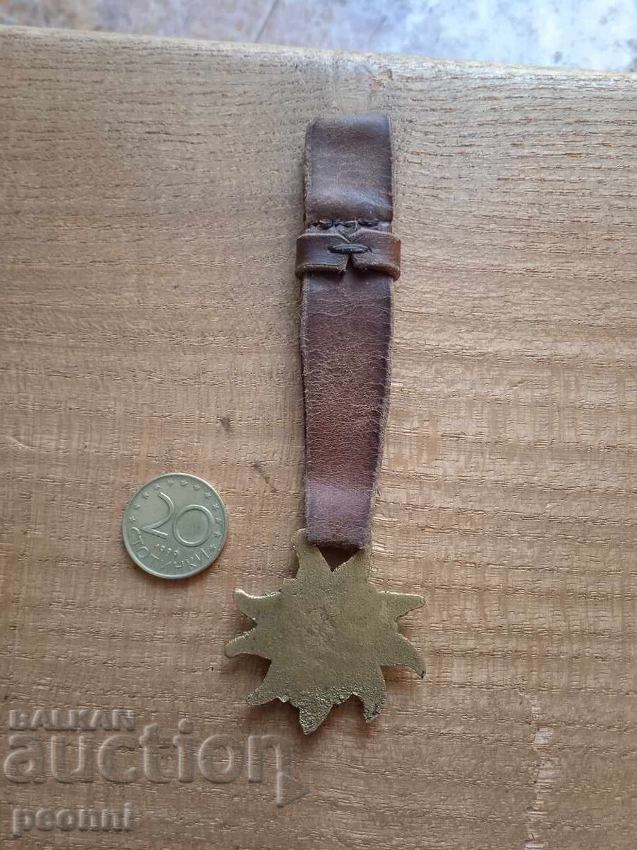 Very rare Edelweiss Tourist Society badge with price 50.00 BGN | € 25.56 Very rare Edelweiss Tourist Society badge with price 50.00 BGN | € 25.56