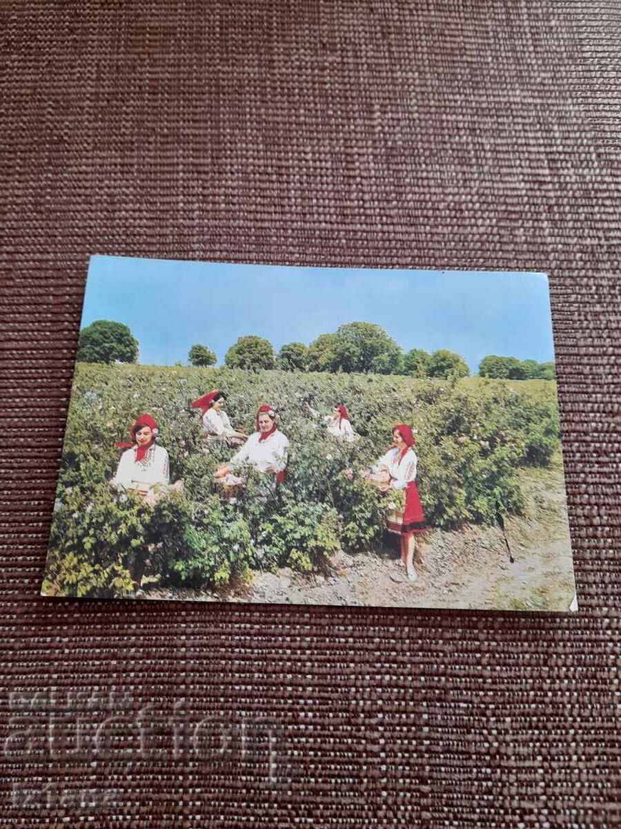 Стара картичка розобер Стара картичка розобер