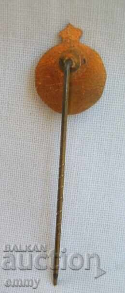 Δημοπρασία Σήμα ποδοσφαίρου - 50 χρόνια SV Nielse, Βέλγιο Δημοπρασία Σήμα ποδοσφαίρου - 50 χρόνια SV Nielse, Βέλγιο