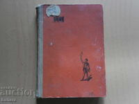 The Colors of the Fight - Mieczysław Mochar