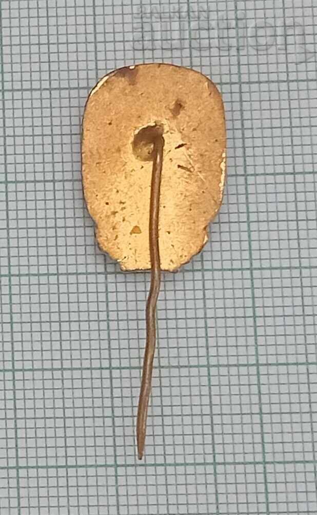 Livrarea INSIGNĂ HRISTO BOTEV EMAIL Livrarea INSIGNĂ HRISTO BOTEV EMAIL