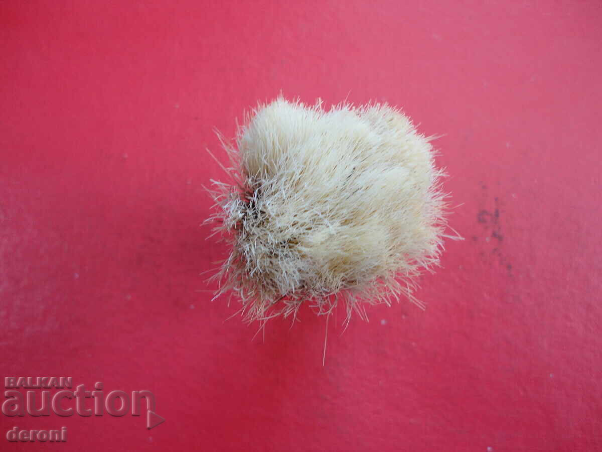 Παράδοση Γερμανική βούρτσα ξυρίσματος Reine Borste