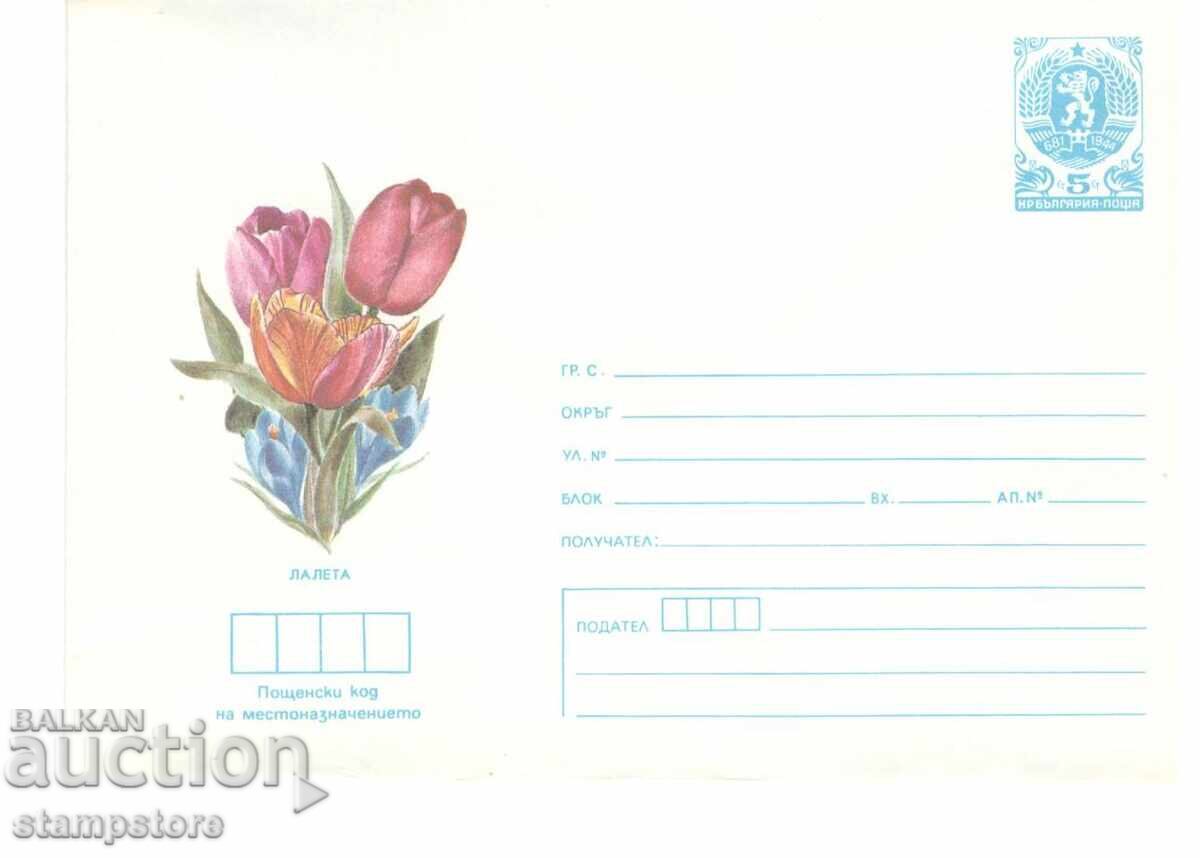 ΠΠ Λουλούδια - Τουλίπες ΠΠ Λουλούδια - Τουλίπες