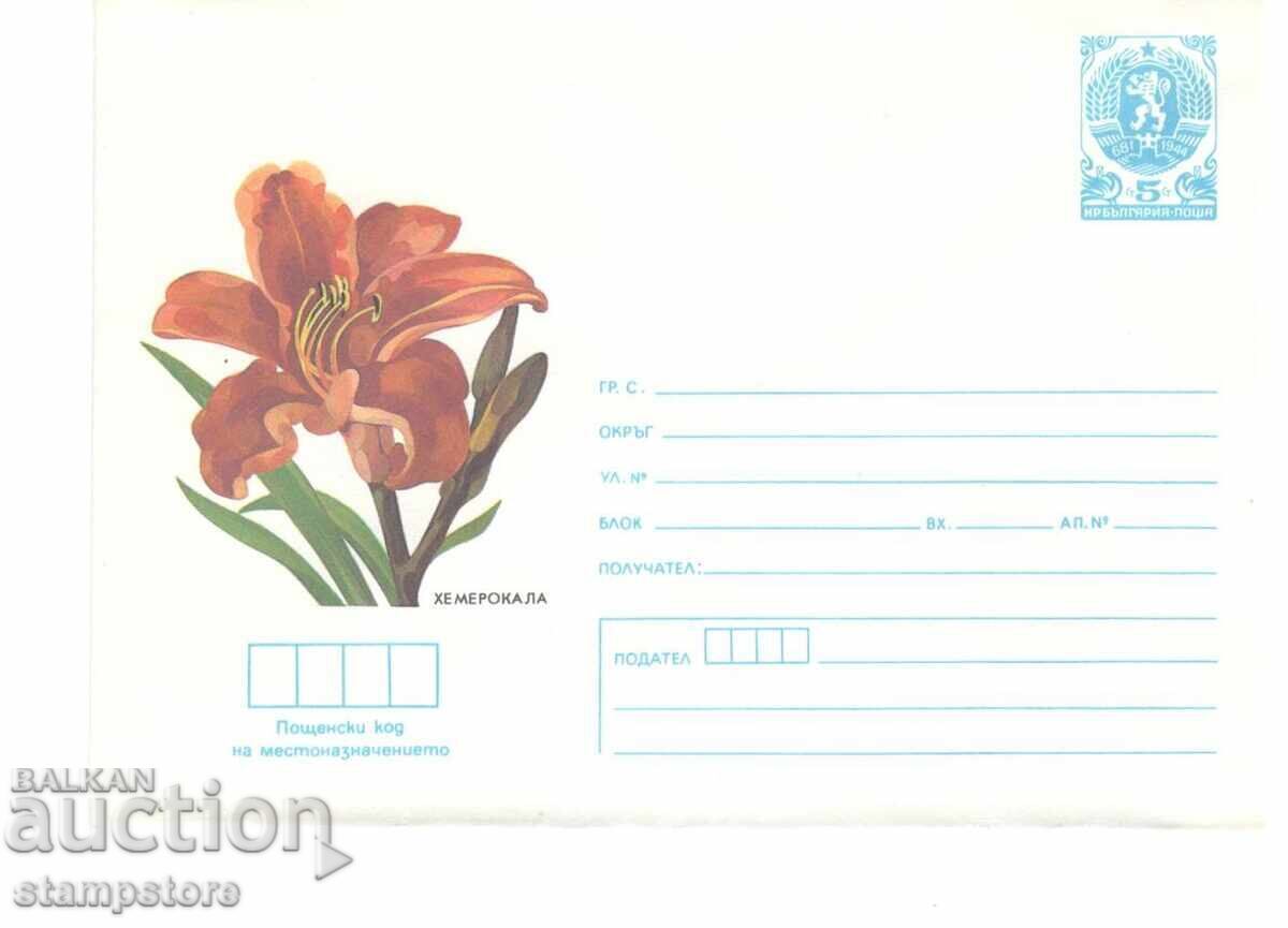 Daylily Flowers Daylily Flowers