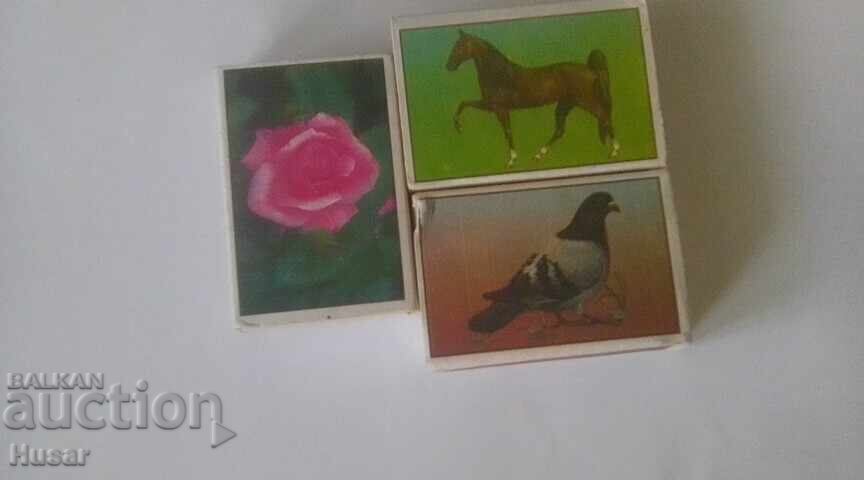 Chibrituri, bulgărești, pline, 3 buc. floare - trandafir cal porumbel