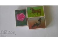 Chibrituri, bulgărești, pline, 3 buc. floare - trandafir cal porumbel