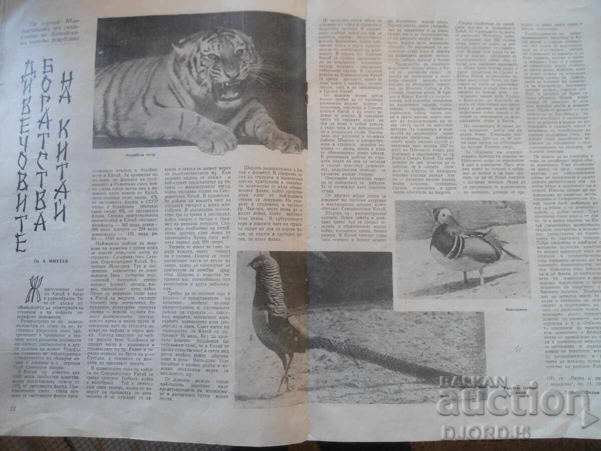 Auction Magazine "HUNTING and FISHING", 10 issue 1959 Auction Magazine "HUNTING and FISHING", 10 issue 1959